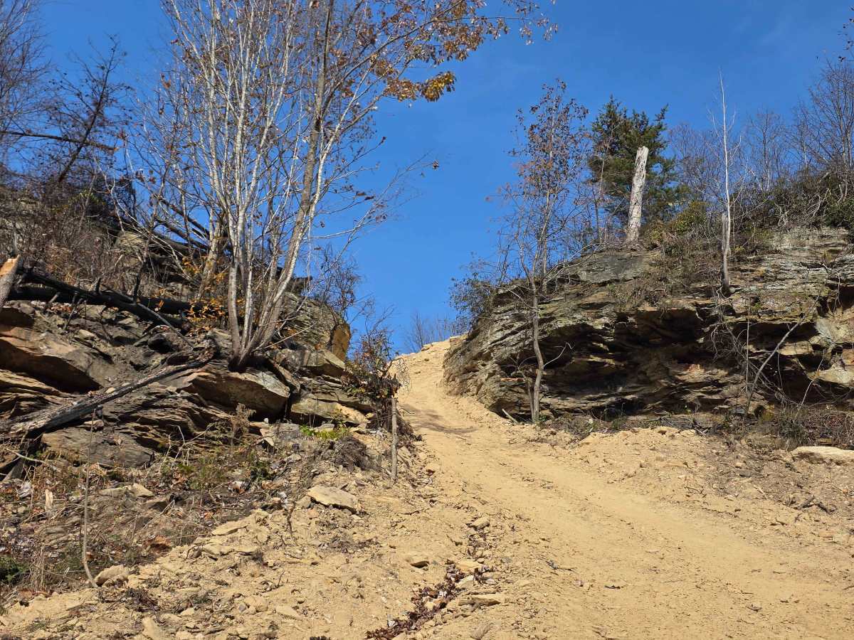 Bowl Hill Climb photo 2