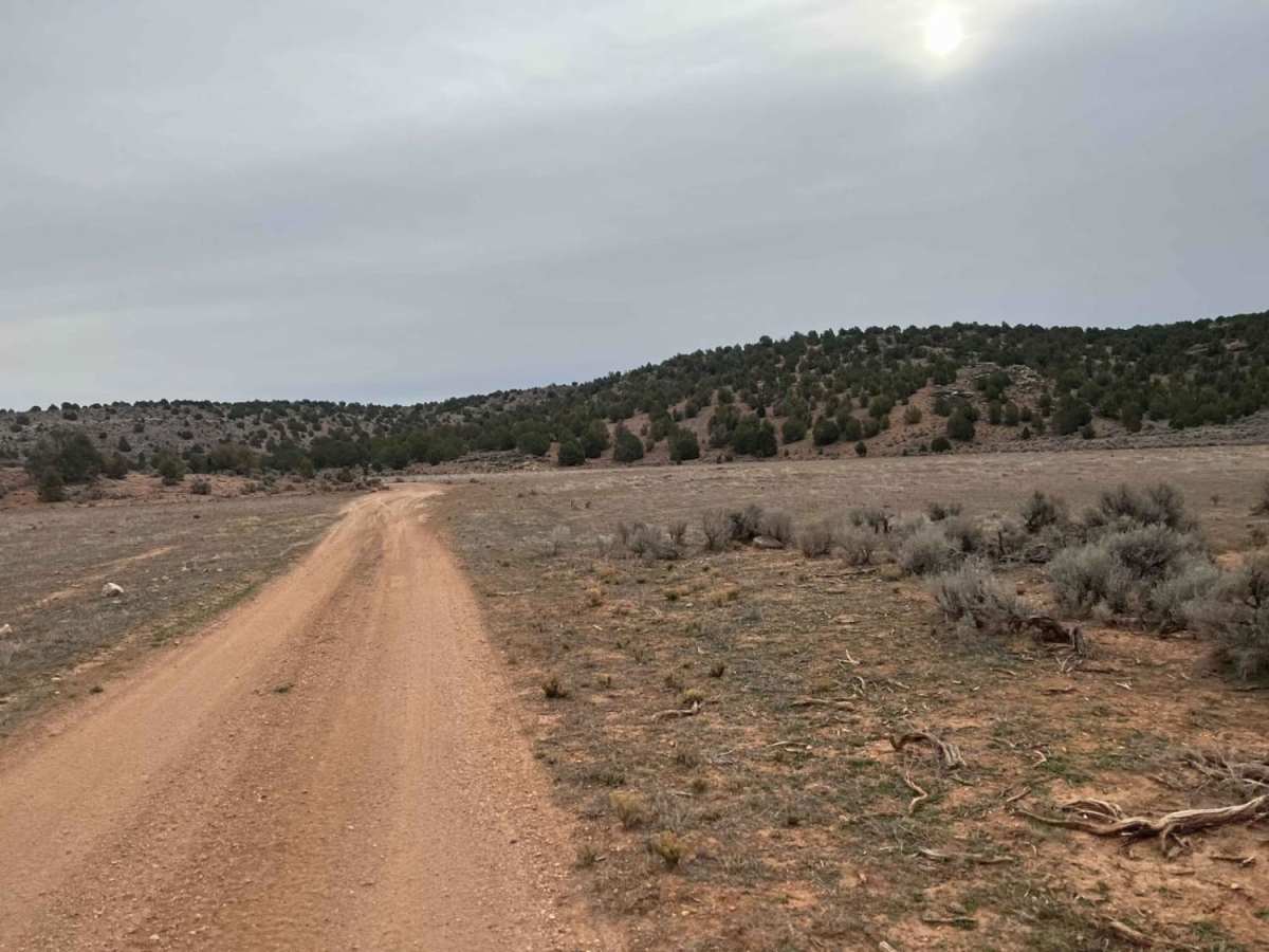Segmiller - Sunshine Trail Interconnect photo 6