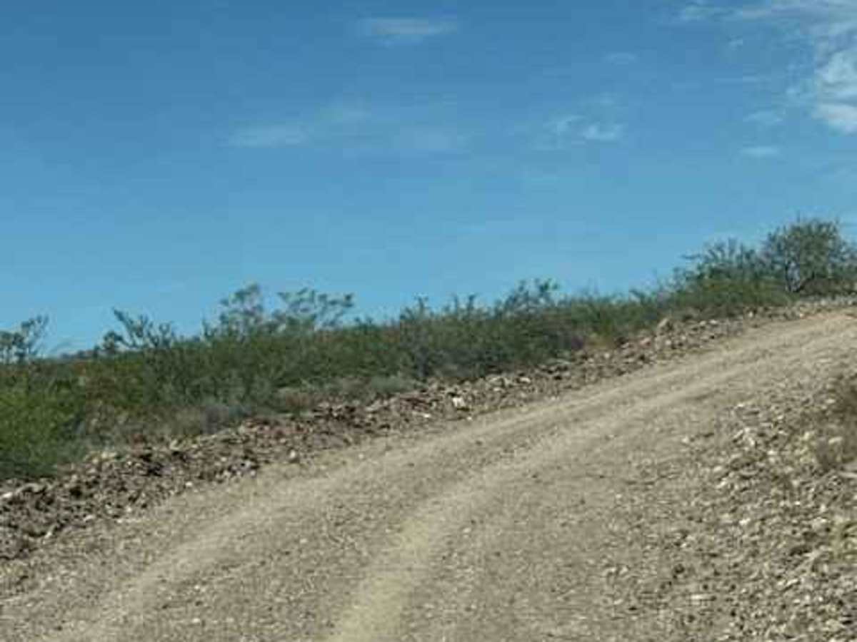 BLM SS1041 photo 2