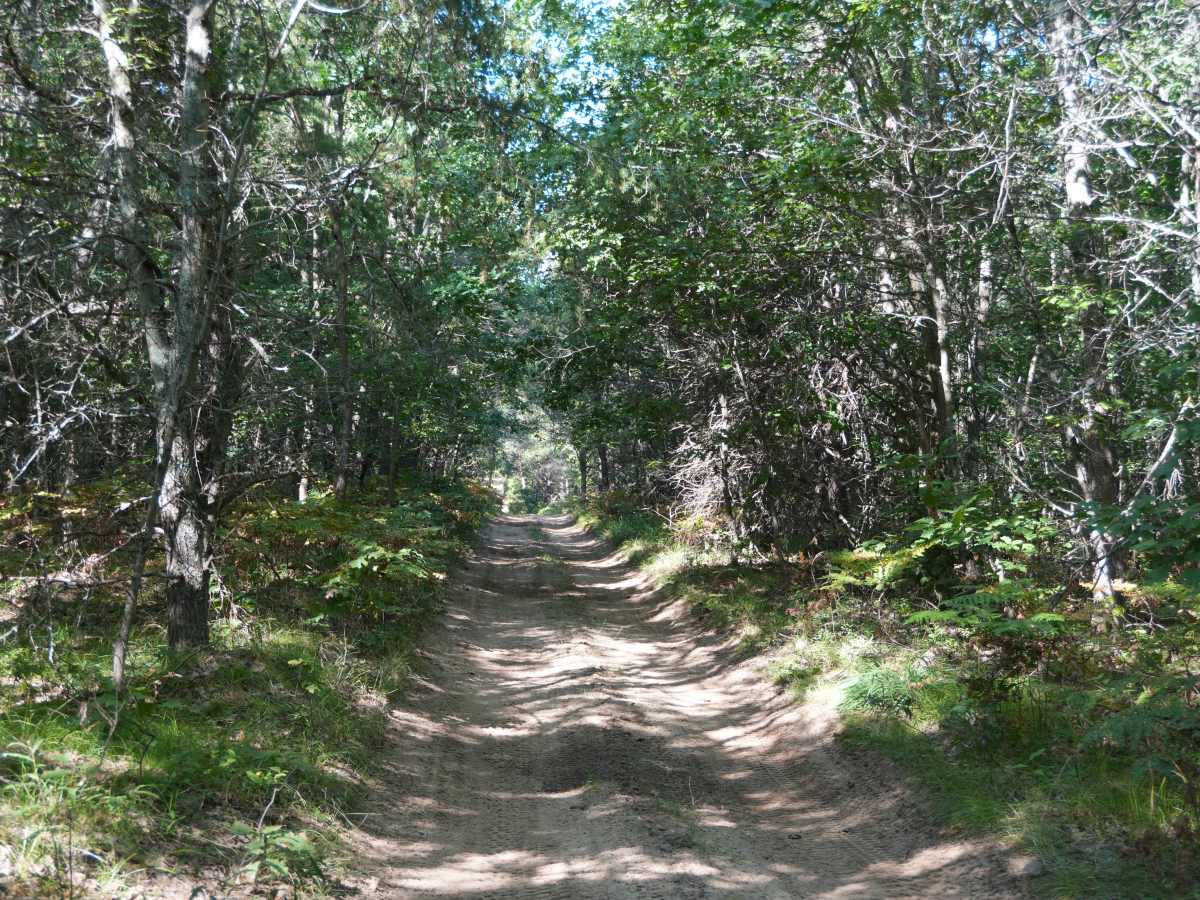 Twin Lakes Trail photo 3