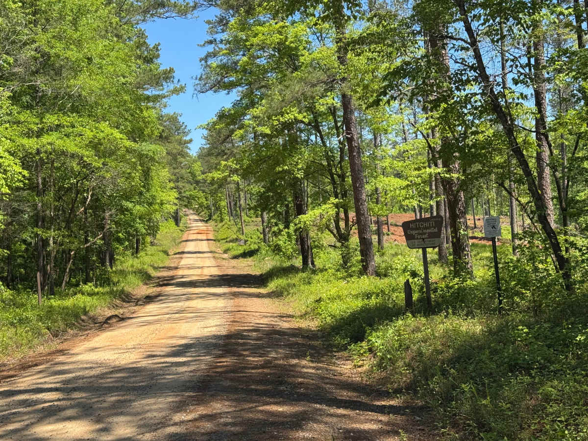 Caney Creek photo 4