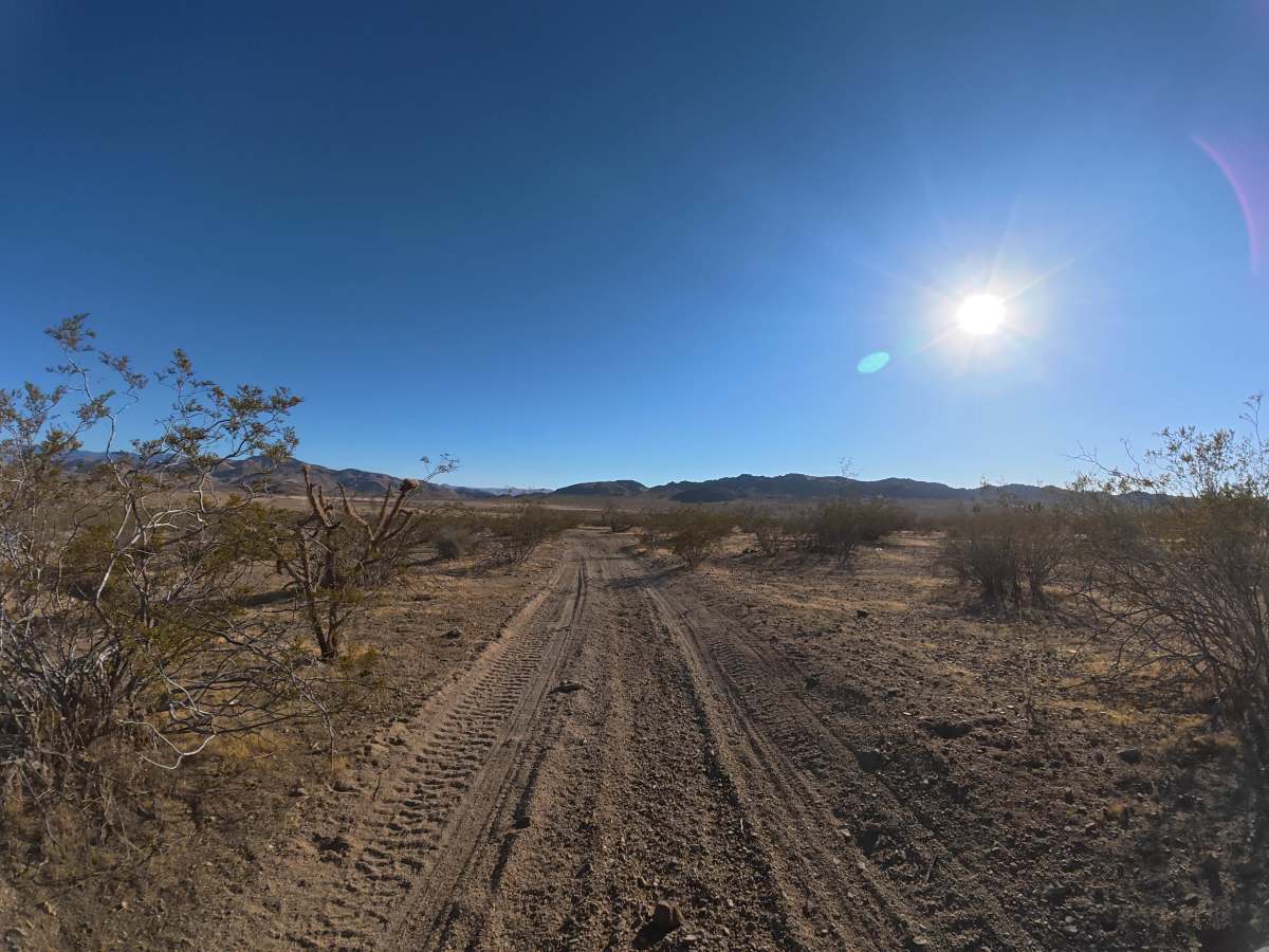 BLM SV2633 photo 6