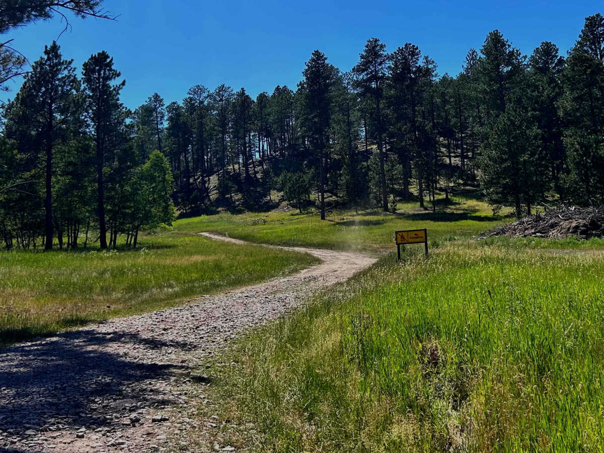 Palmer - FS 356  trail photo
