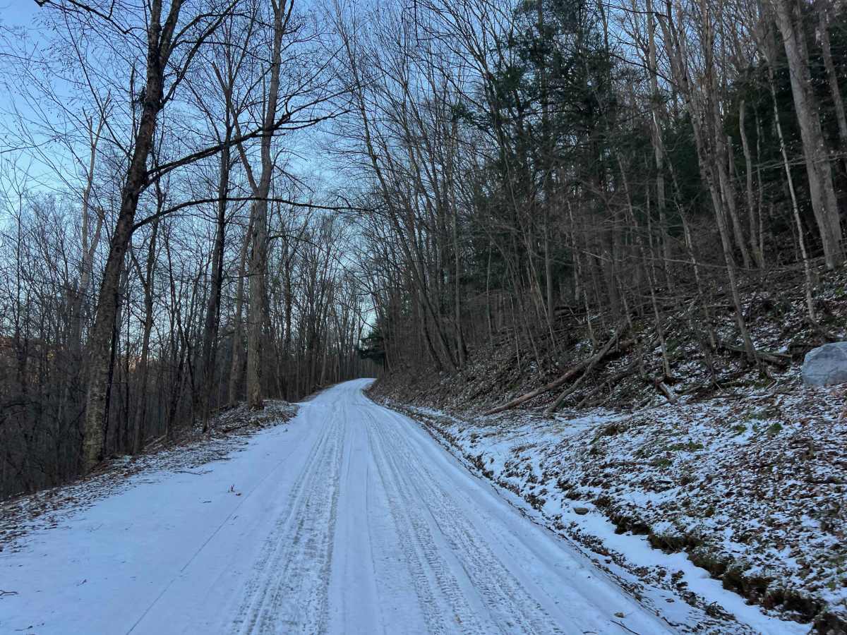 Tyler Road photo 6
