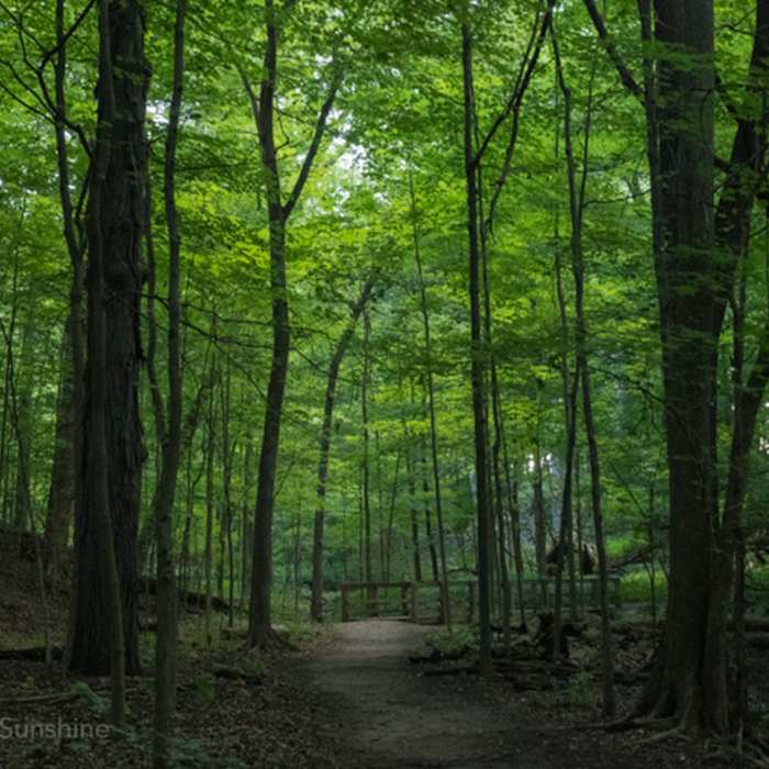 Near Bailly Chellberg - Little Calumet Loop