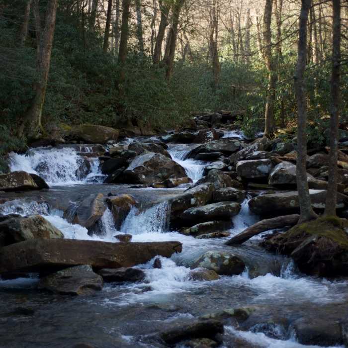 Road Prong working it's way down from the mountain top. Near Chimney Tops Trail