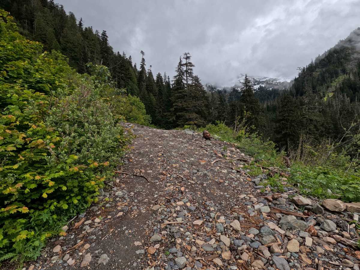 Twin Lakes Road - FS 3065 photo 6