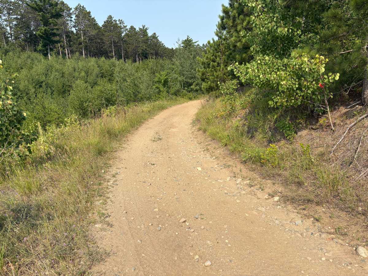 Firetower Overlook trail photo