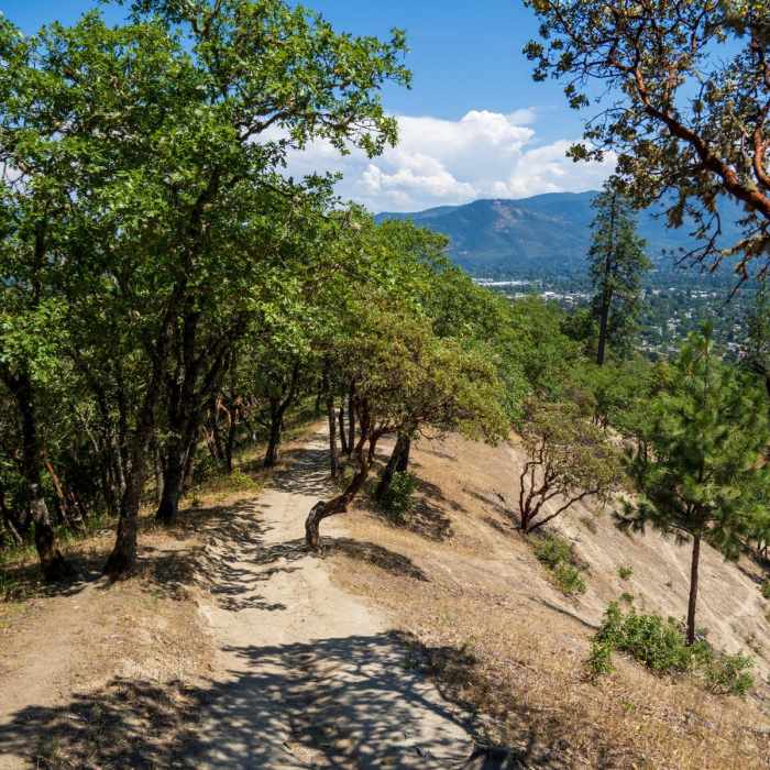 Near Dollar Mountain