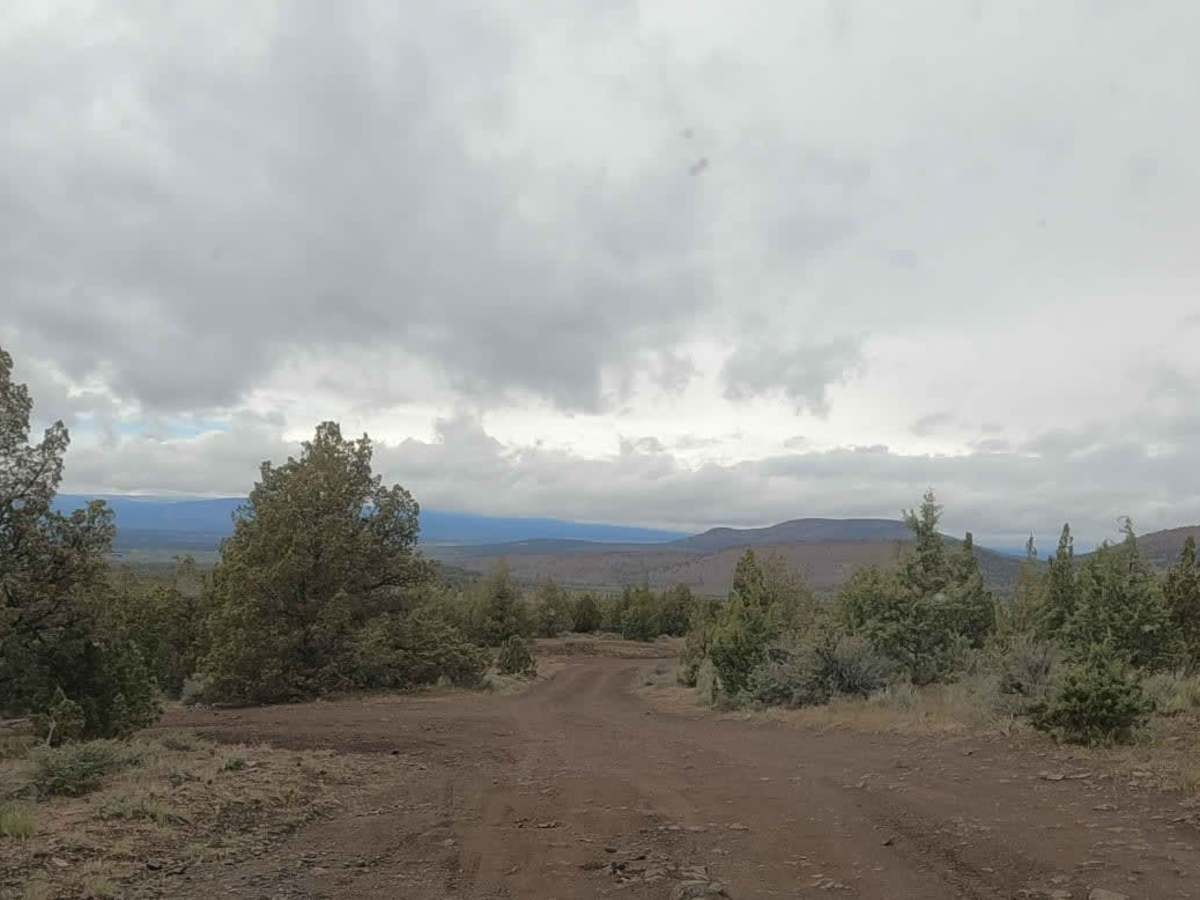 NF-5740 trail photo