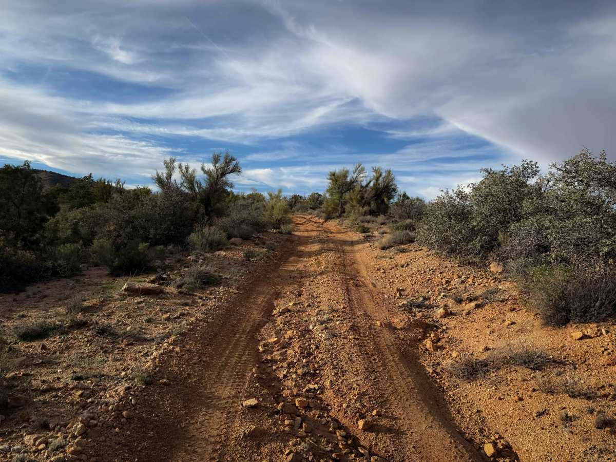 H1447 trail photo