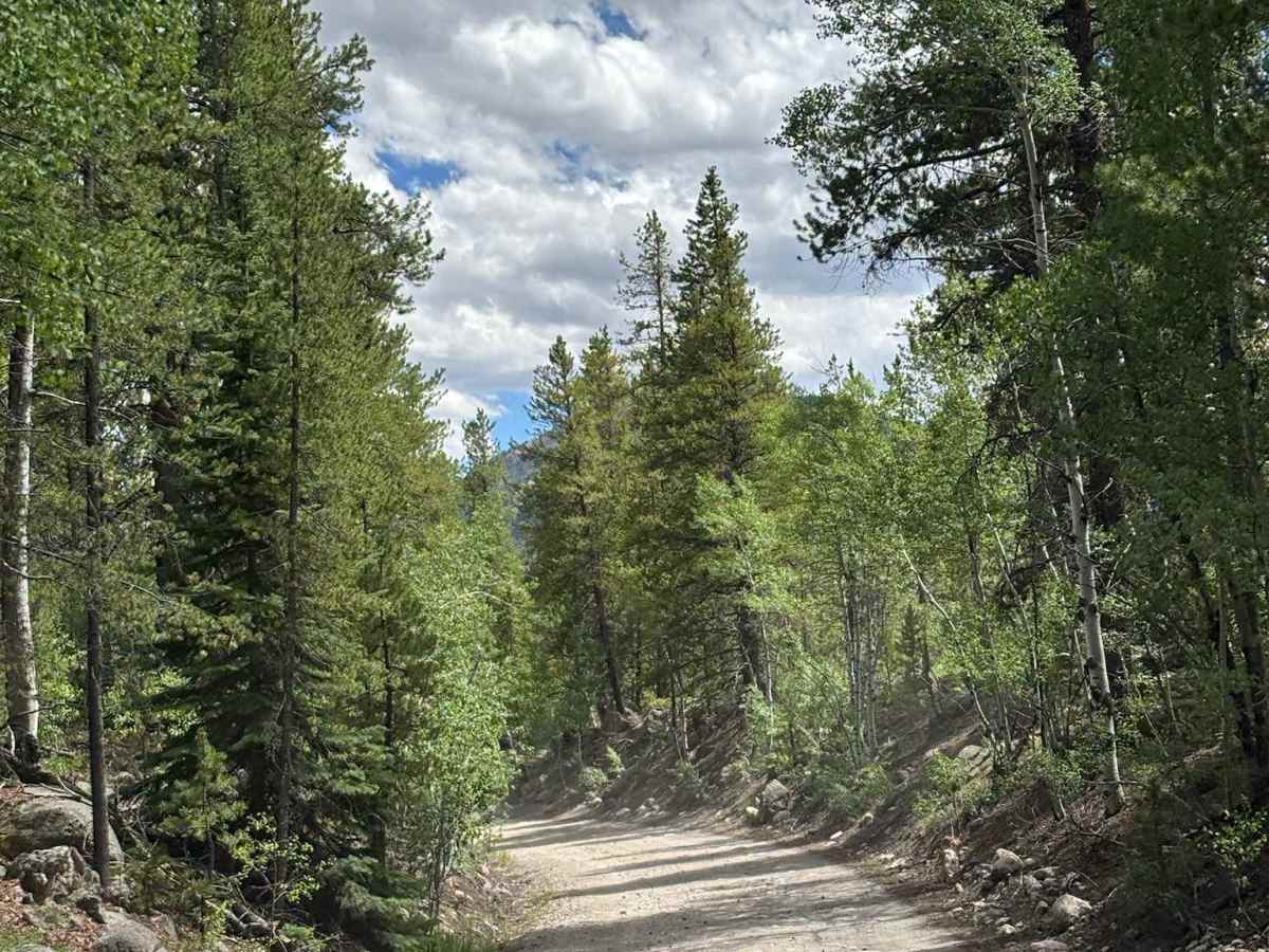 Frying Pan Road - Ivanhoe Creek photo 6