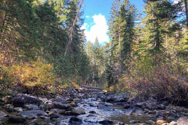 Blodgett Hiking Trail and Campground