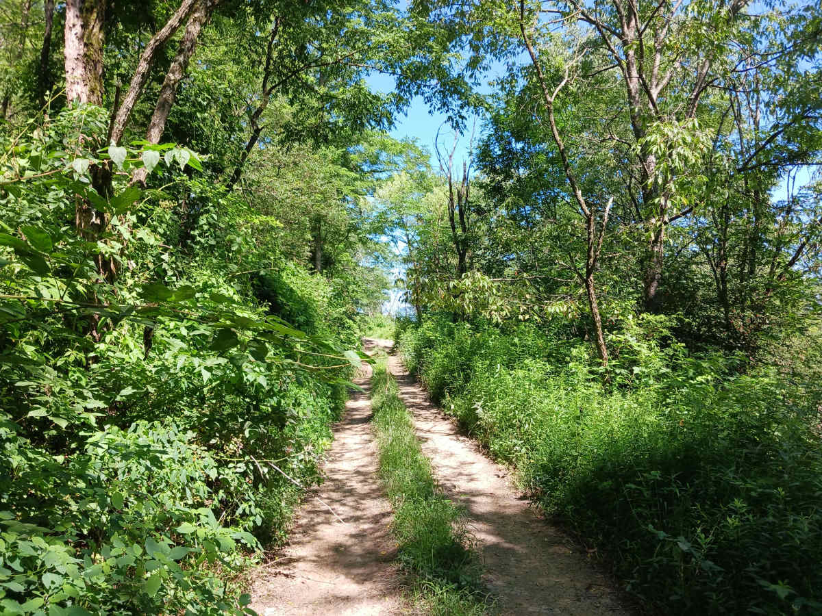 Trail 13H - Rock Run Recreation Area photo 4
