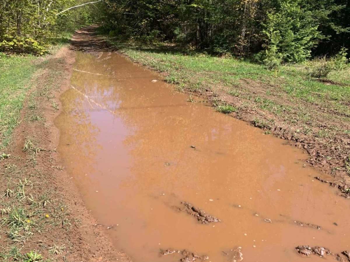 Beaver Dam Run photo 5