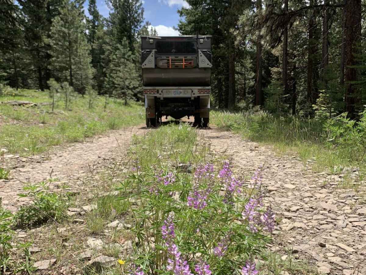 NFDR1675 Crane Creek CG trail photo