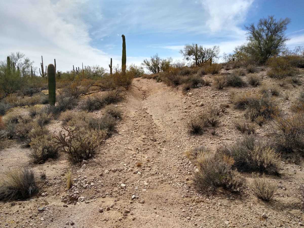 Robinson Loop photo 5
