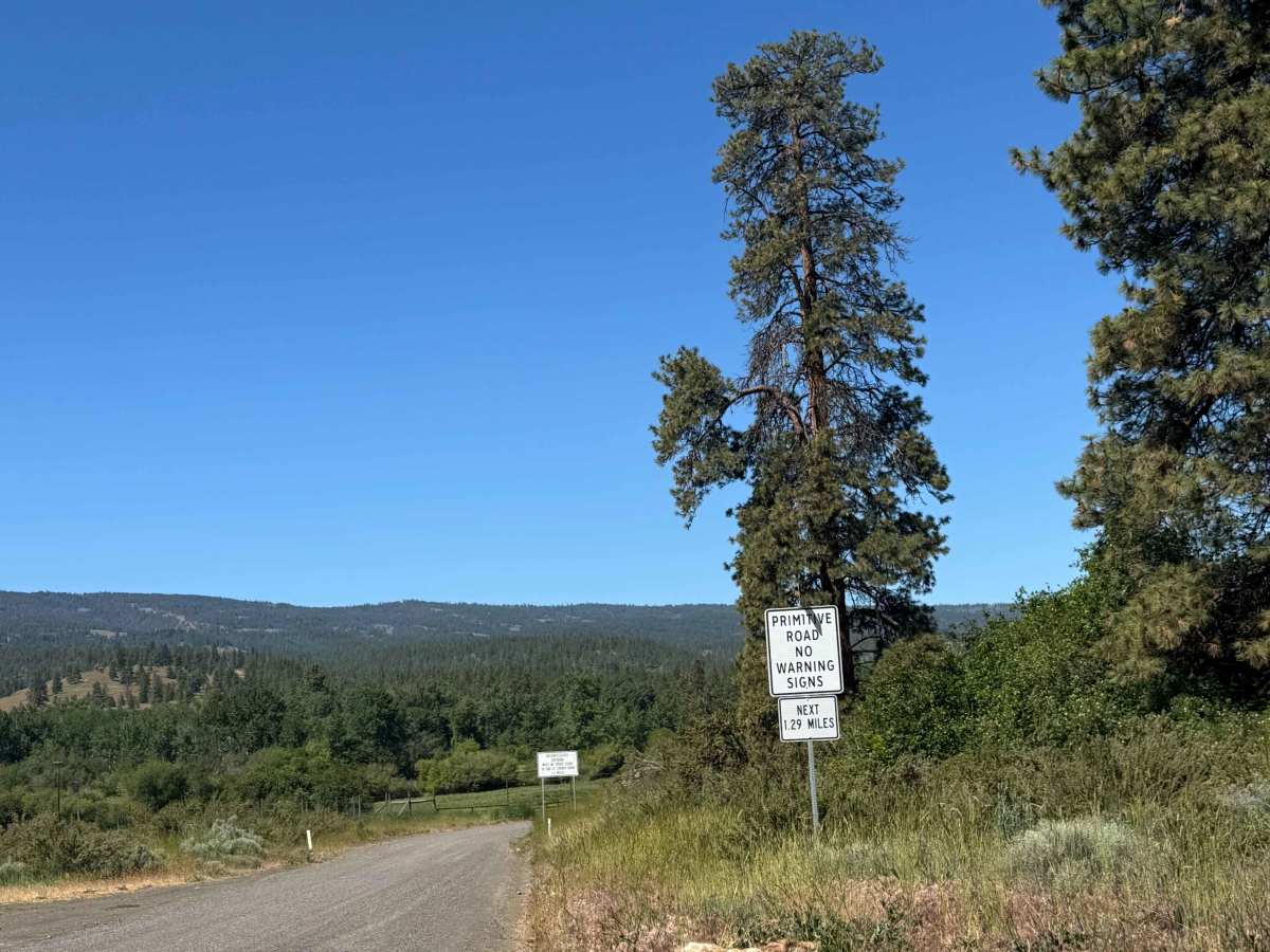 Chinook Pass trail photo
