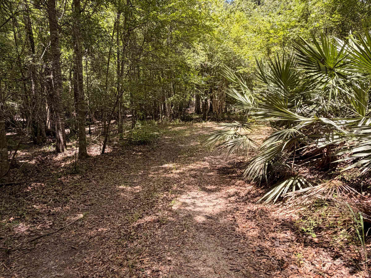 Swamp Camp Trail photo 4