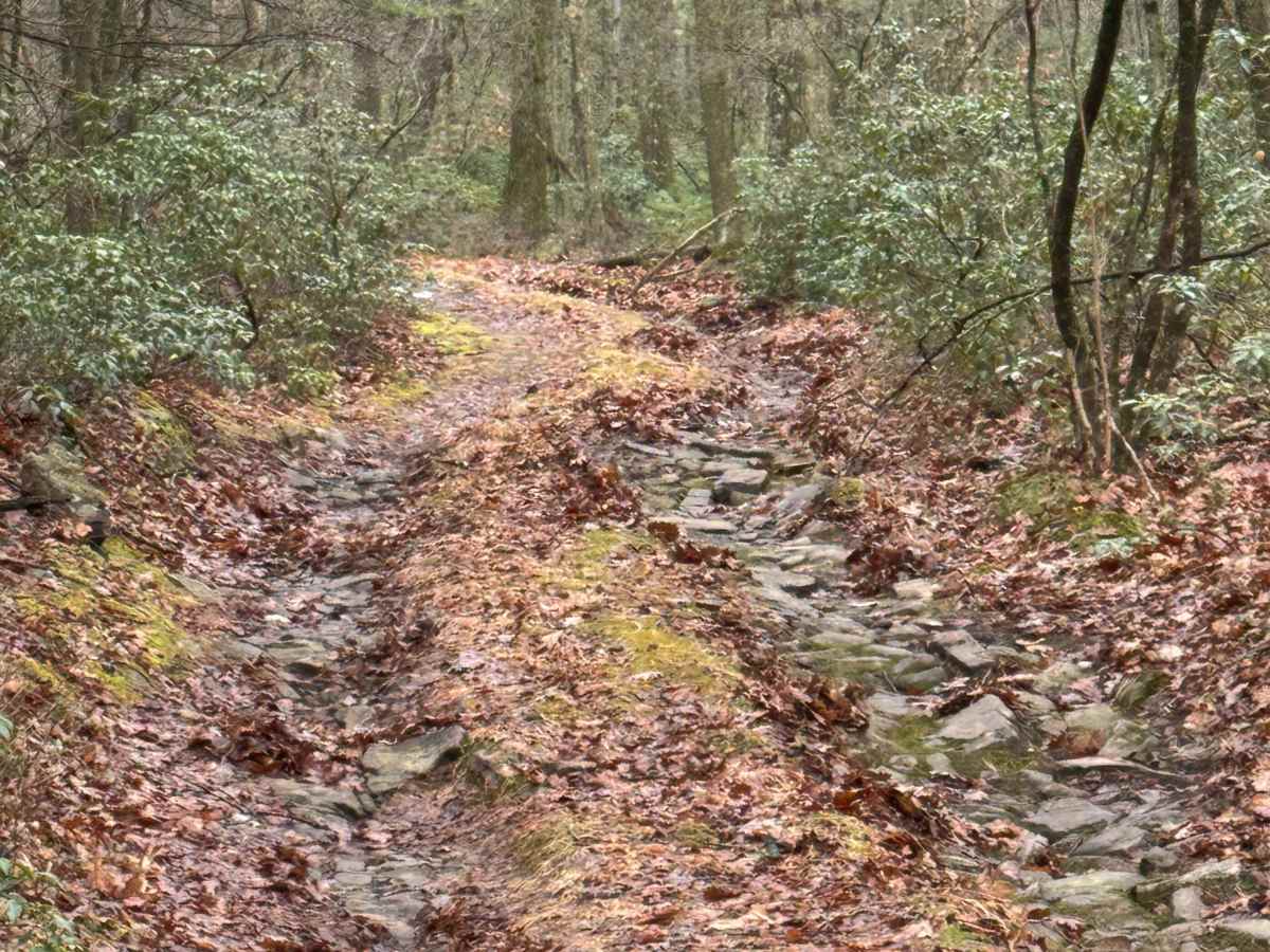 Jack's Mountain Fire Trail photo 5