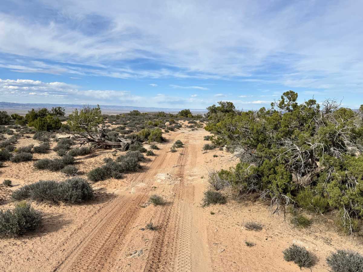 Cisco Claymore Hills Cutoff photo 4