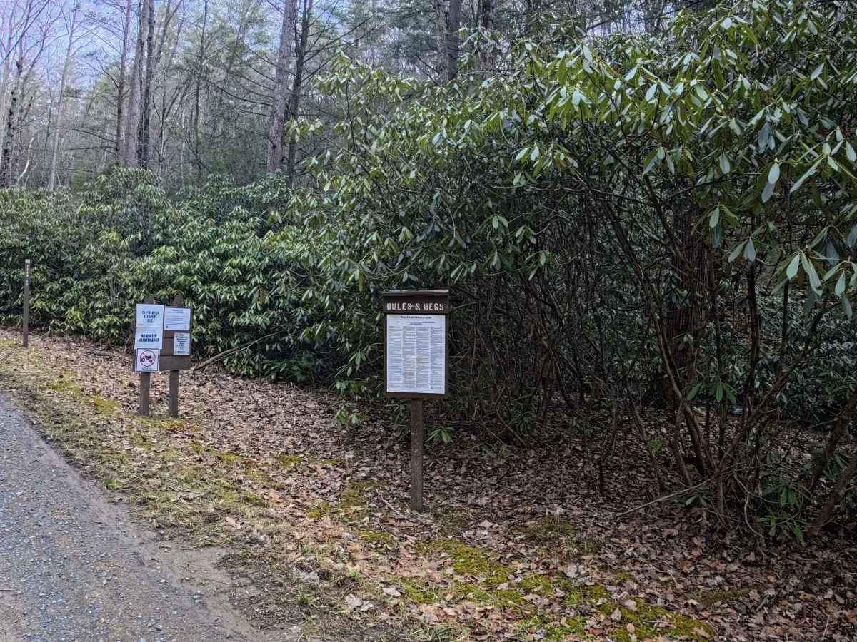 White Deer Road photo 3