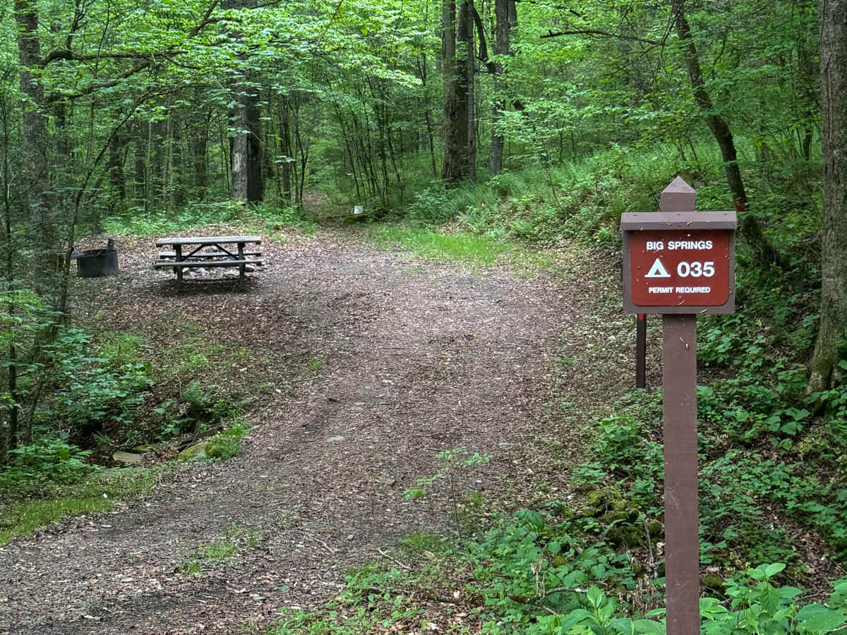 Big Springs Road photo 2