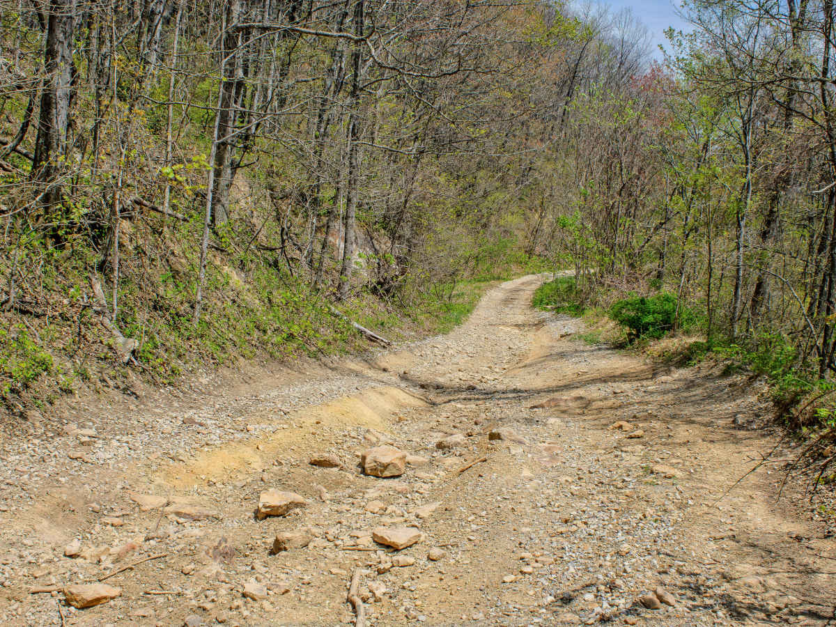 GS1 Trail trail photo
