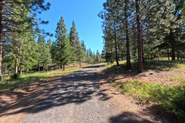 Jack Creek Road - FS 9738