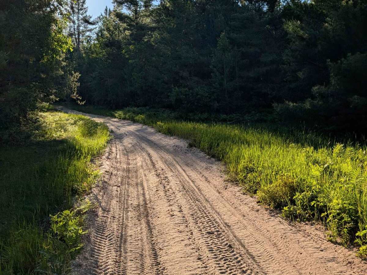 Forest Trail Southeast photo 5