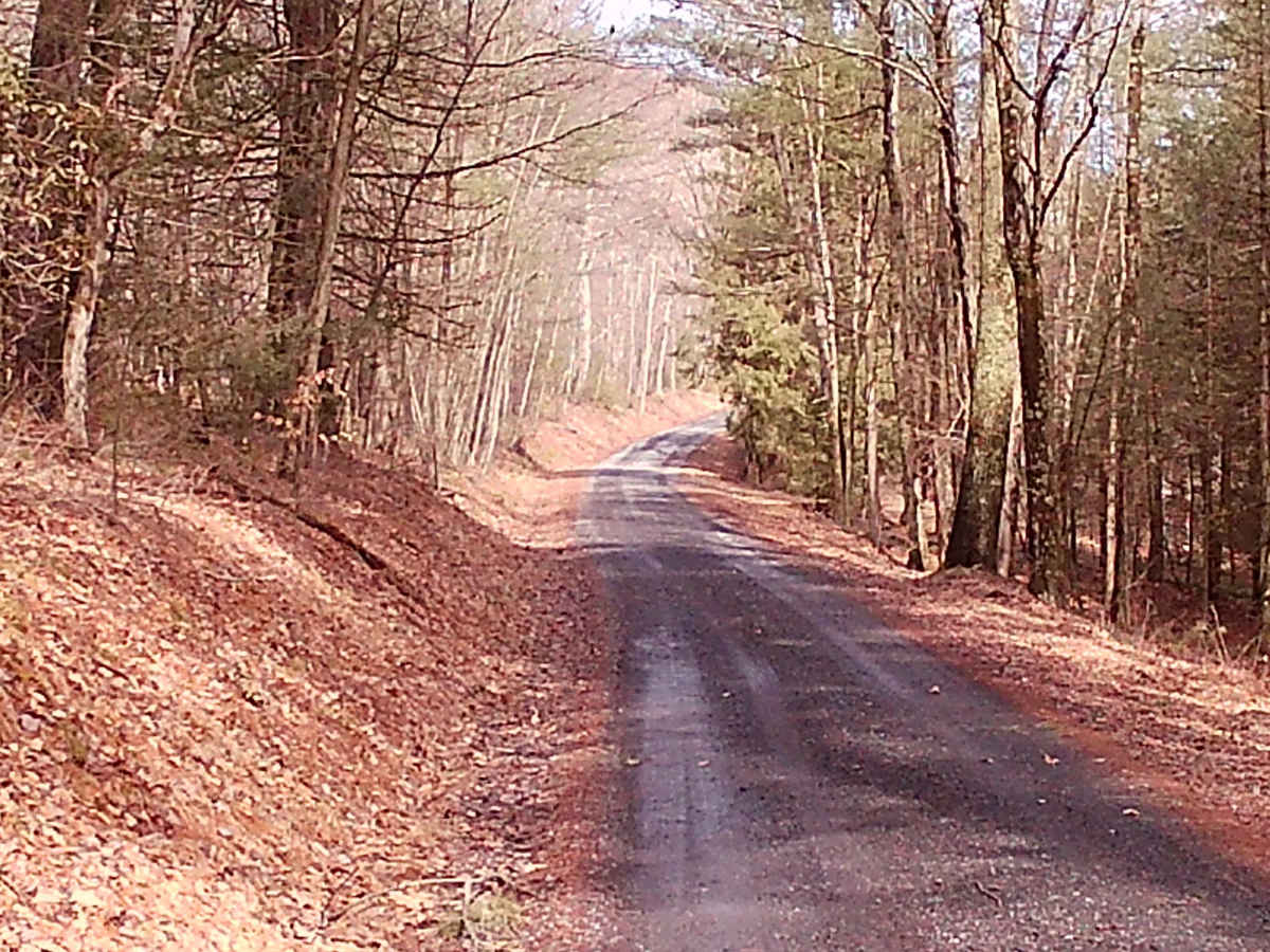 Yarison Road photo 5