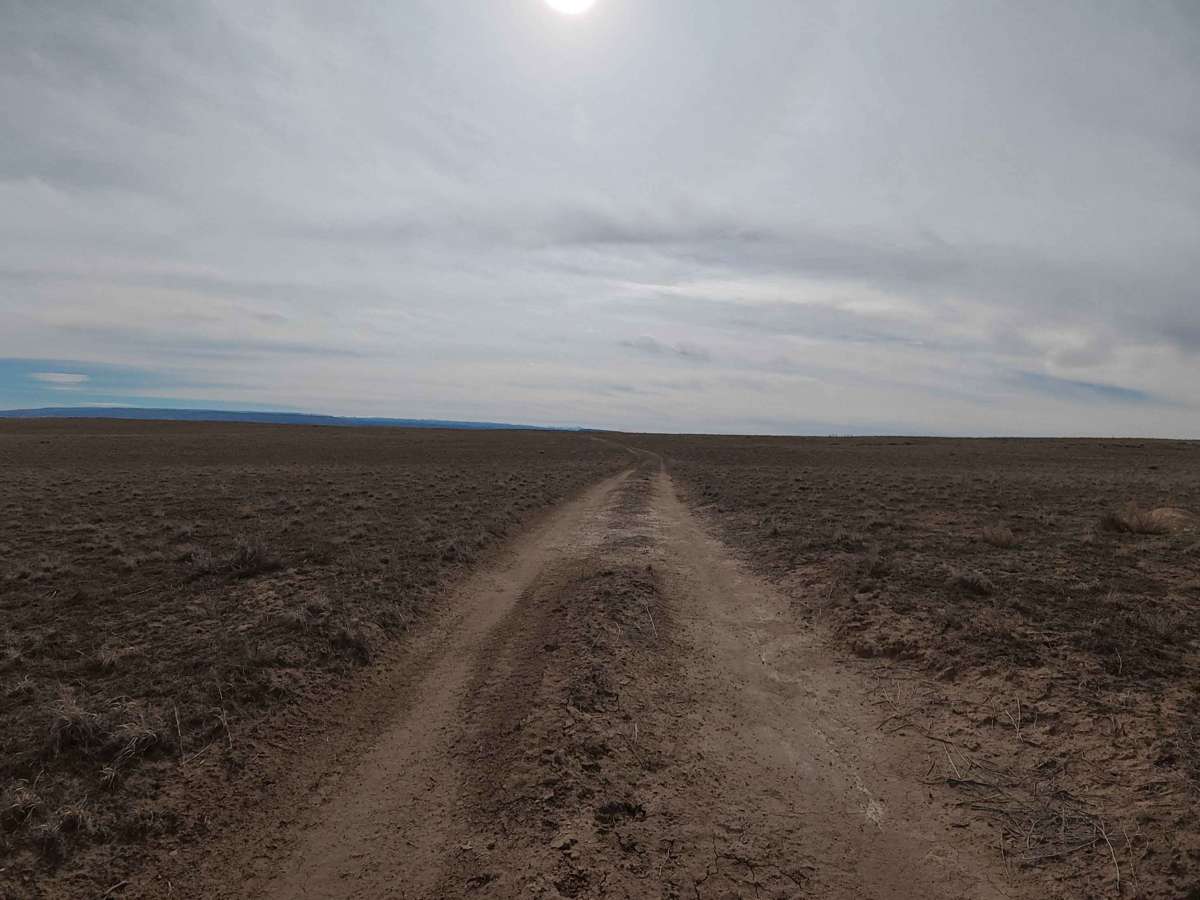 BLM 125 trail photo