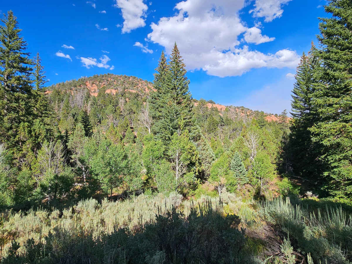 Strawberry Canyon photo 6