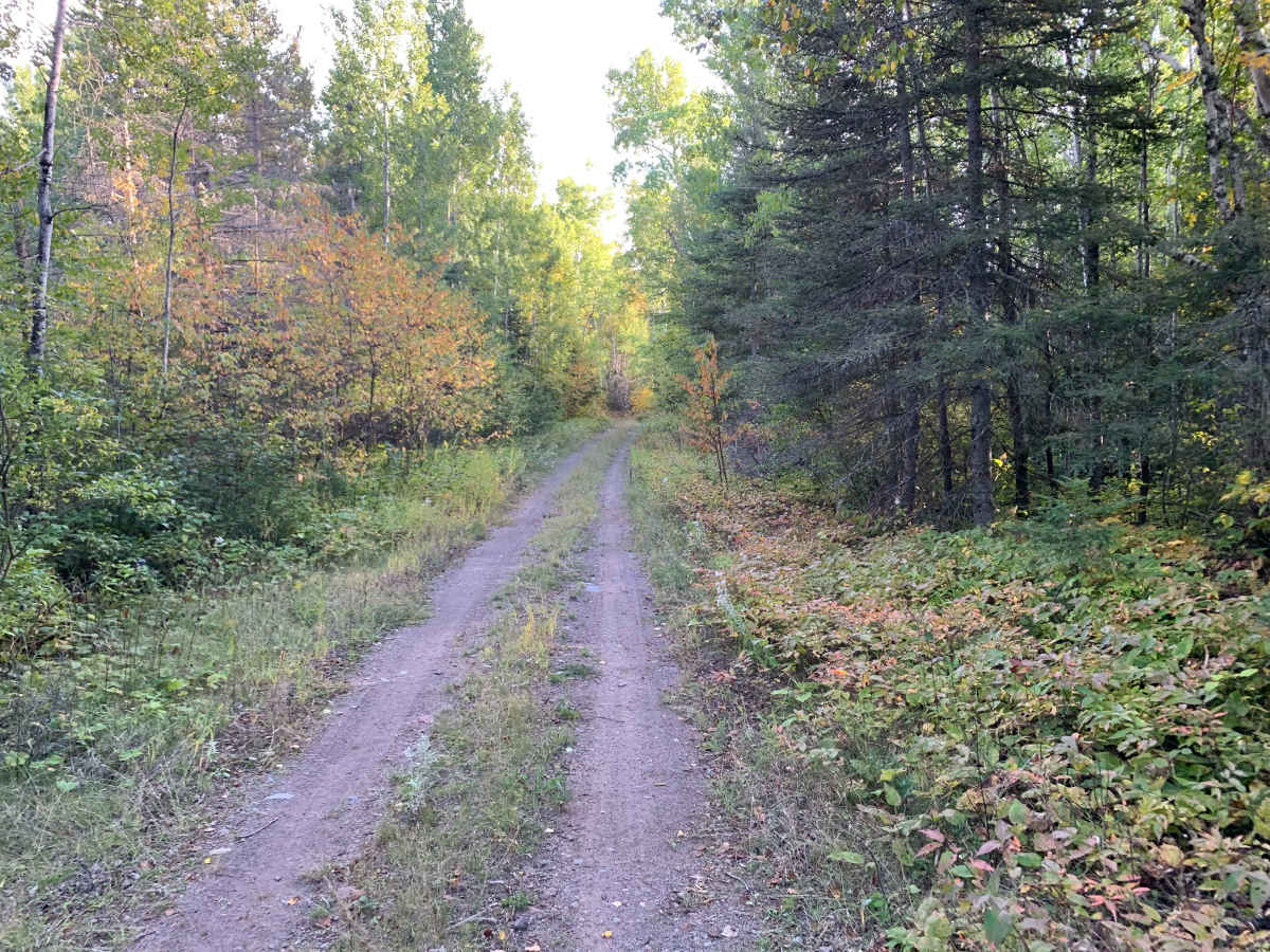 Frank Lake Trail - FS 1885 photo 2