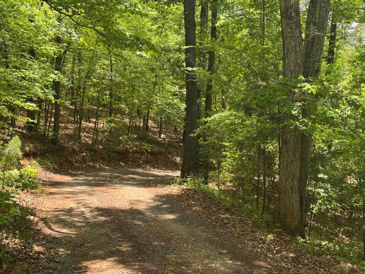 Rock House Falls Road - FS 1108 photo 6