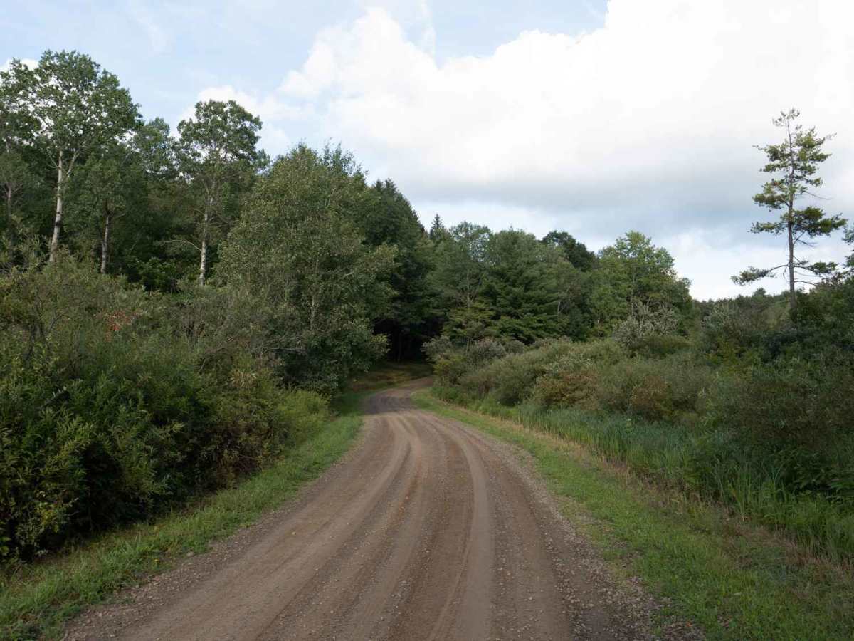 Briggs Road photo 3