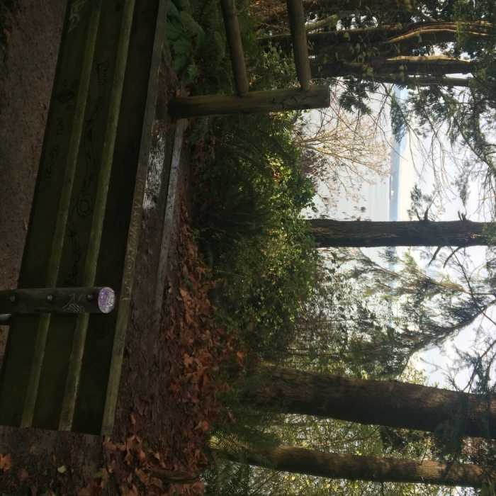 Near North Bluff Trail
