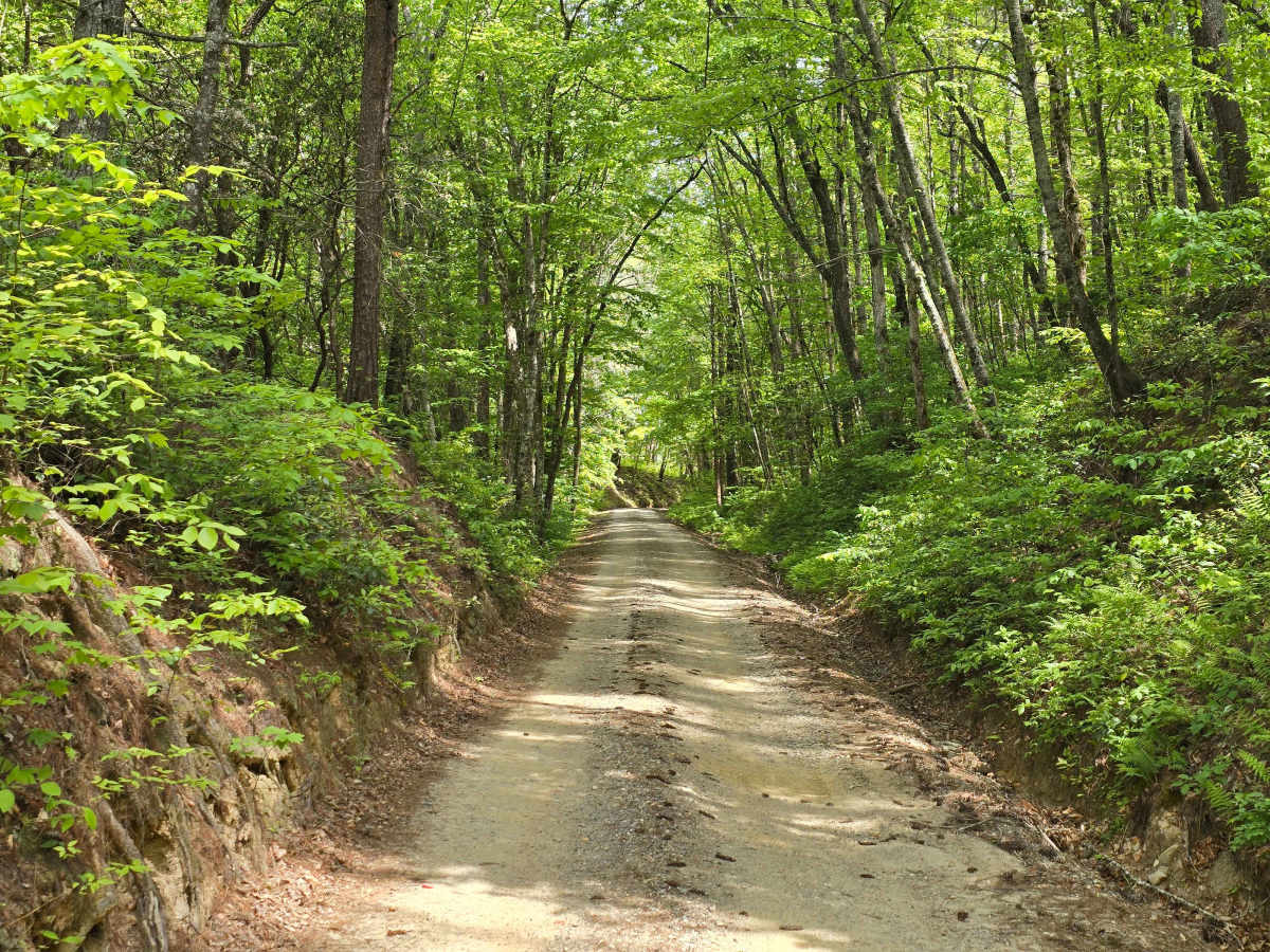 Persimmon Trail photo 3