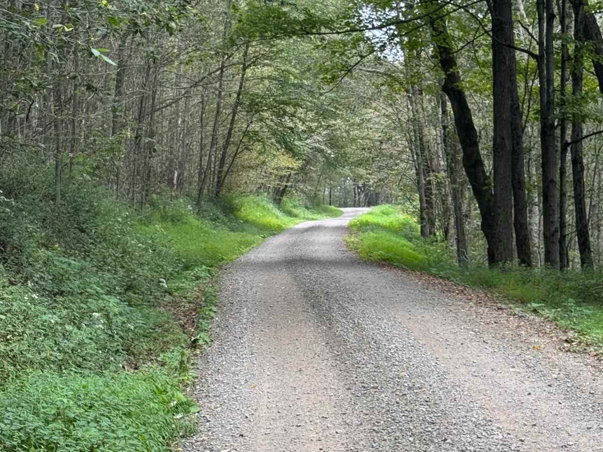 Mill Creek Road photo 5