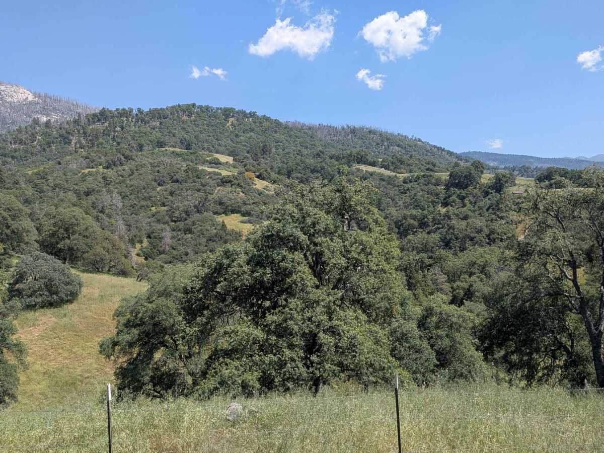 Deer Creek Mill - FS 23S04 photo 5