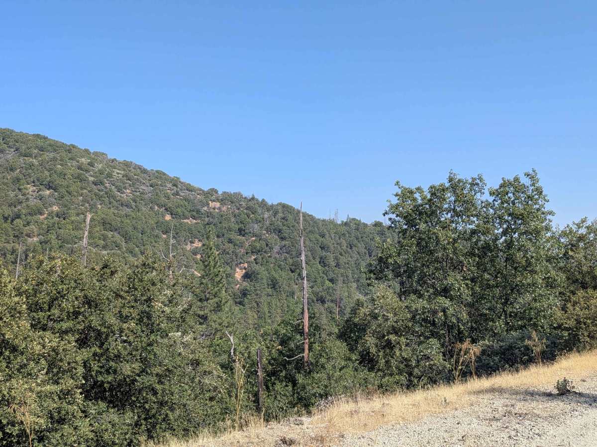 Moore Creek Road - FS 1S29 photo 2