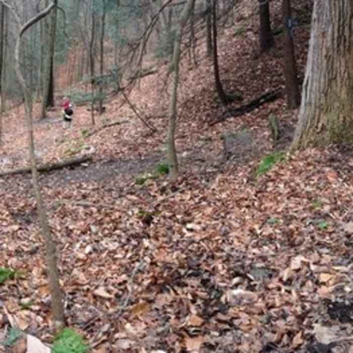 Near Slippery Rock Gorge Trail
