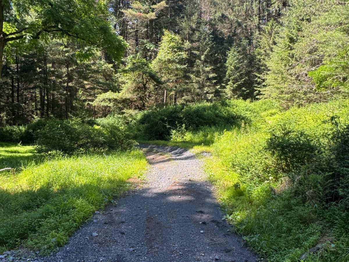Lehigh Loop photo 2