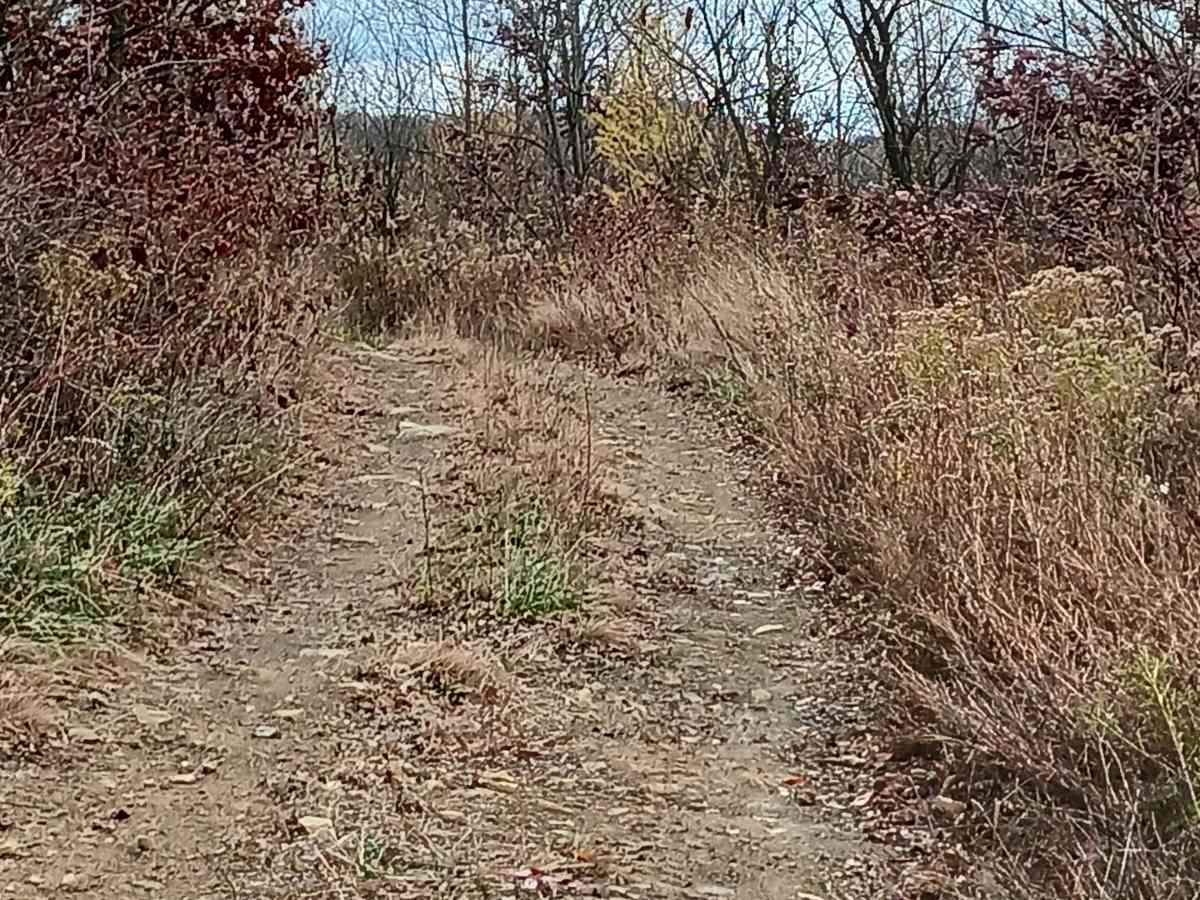 13C2 - Rock Run Recreation Area photo 2