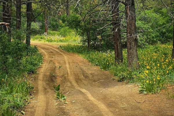 Lookout Tower & Views-USFS Rd #651A