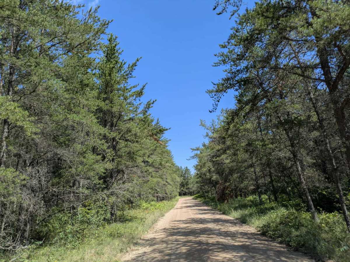 Carp Forest Road photo 6