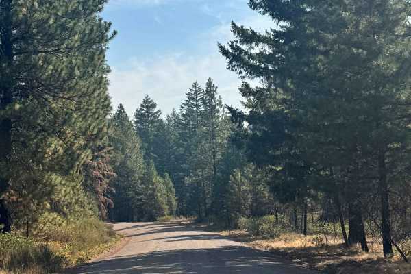 Akawa Butte - FS 1100