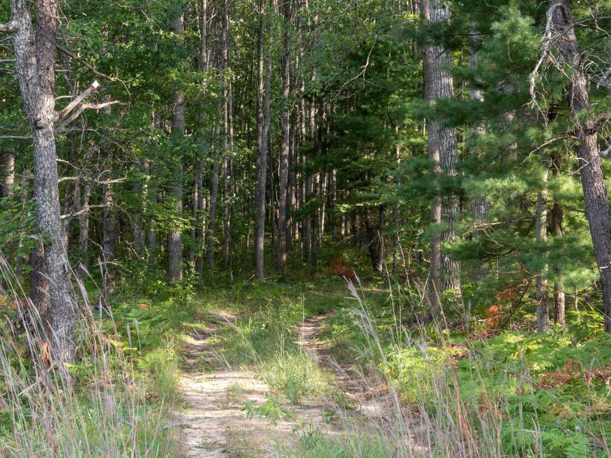 FS 3114 photo 2