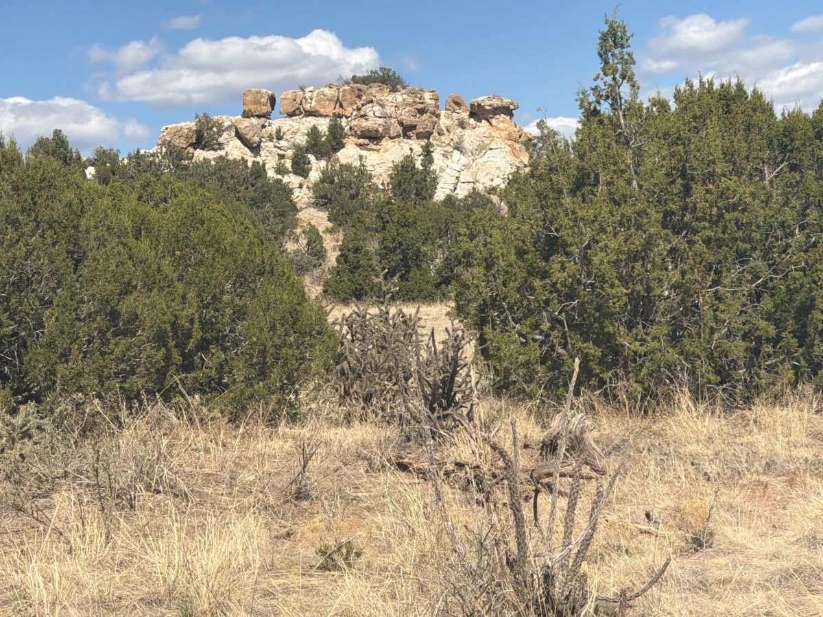 BLM 5935D trail photo