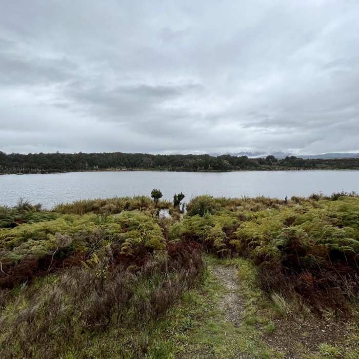 Near Lake Mistletoe Track Near Lake Mistletoe Track